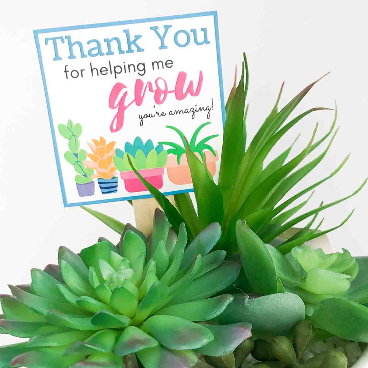 Thank you for helping me grow printable featured image