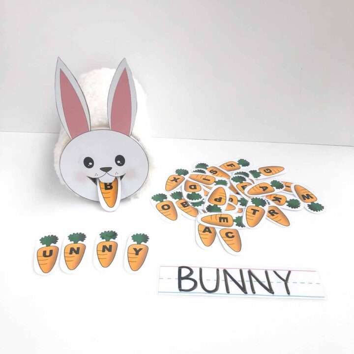 How to Make Feed the Bunny Preschool Letter Activity