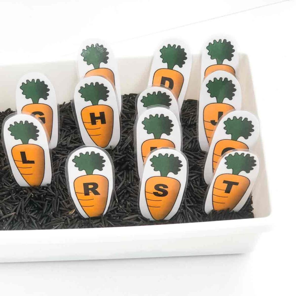 Feed the Bunny alphabet activity for preschoolers. Letter carrots in wild rice "dirt"
